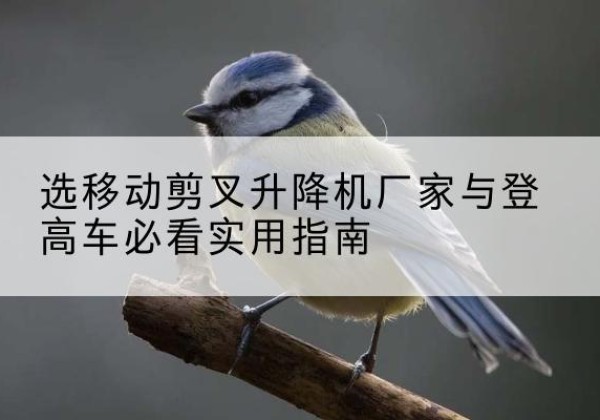 白云电动升降机厂家-选移动剪叉升降机厂家与登高车必看实用指南