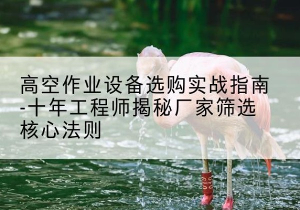 白云剪叉式升降机厂家-高空作业设备选购实战指南-十年工程师揭秘厂家筛选核心法则